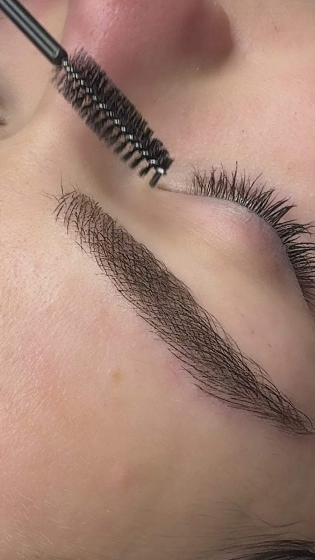Goupillons Mascara (80 pcs)